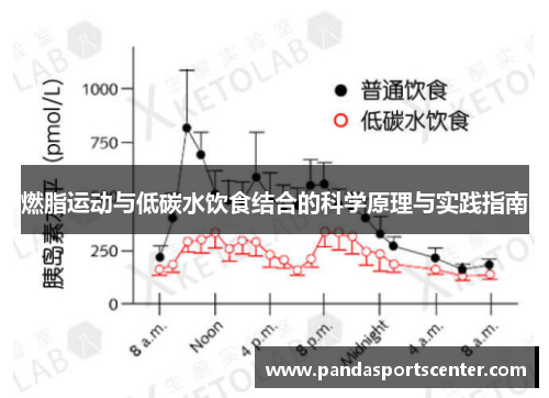 燃脂运动与低碳水饮食结合的科学原理与实践指南